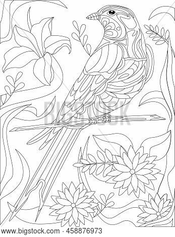 Coloring Book Page With Standing On Tree Parrot With Different Flowers In Background. Sheet To Be Co