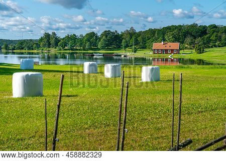 Typical Red Wooden Houses In Countryside By The Sea In Nature Of Southern Sweden On A Beautiful Sunn