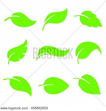 Leaf Icon, Leaf Icon Eps10, Leaf Icon Vector, Leaf Icon Eps, Leaf Icon Jpg, Leaf Icon Image, Leaf Ap