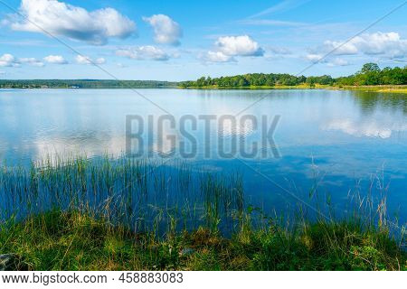 Beautiful Summer Day In Swedish Landscape Of Segersgarde Nature Reservation. Green Forests, Meadows 