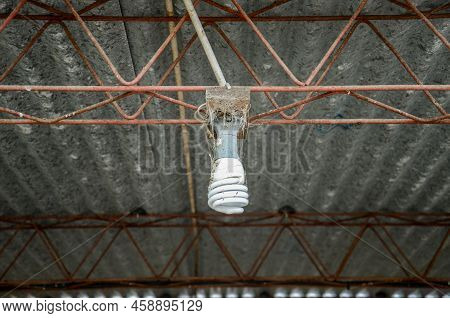 Energy Efficient Lamp In The Room Where The Cows Are Fed On A Dairy Farm Near San Ramon, Canelones, 