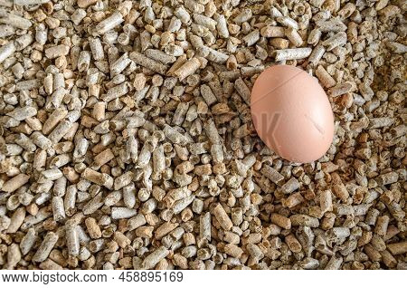 Chicken Egg In The Bowl To Feed The Cows In A Dairy Farm Near San Ramon, Canelones, Uruguay.