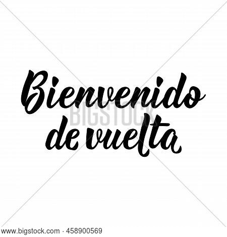 Welcome Back - In Spanish. Lettering. Ink Illustration. Modern Brush Calligraphy. Bienvenido De Vuel