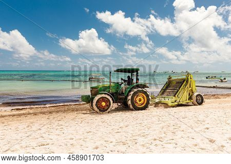 07.24.2022. Dominican Republic Bavaro Punta Cana Provinces La Altagracia. Seaweed On The Beach. Alga