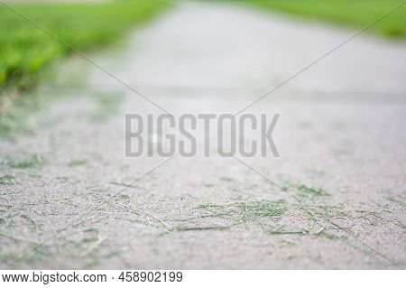 Grass Clippings Strewn Across A Residential Sidewalk After Mowing.