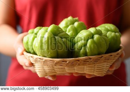 Chayote Squash Fruit In Basket Holding By Woman Hand, Organic Vegetables
