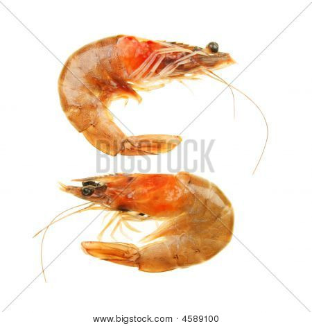 두 개의 Crevette 새우