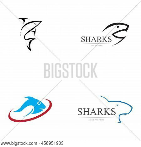 Shark Illustration Logo