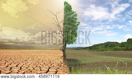 Comparison Between Spring And Autumn To The Concept Of Different Weather At Same Picture