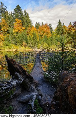 View Of High-altitude Forest Lake Ozirtse By Sunny Autumn Day Near Synevyrska Poliana, Zakarpattia O