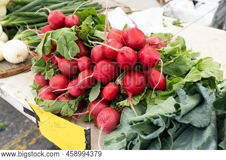 Bunches Of Fresh Red Radishes At A Farmers Market