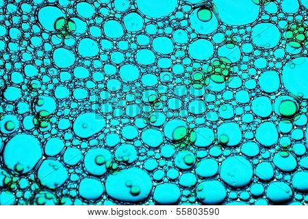 cells background