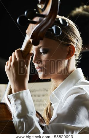 A Cellist In Concert