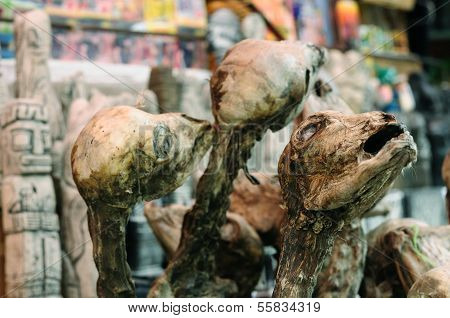 Bolivia, La Paz, Witches Market