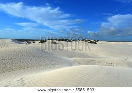 White Sand Dunes Of Nilgen Nature Reserve