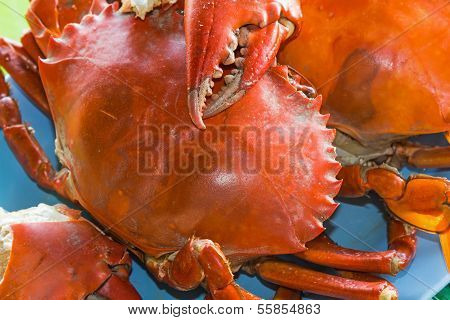 Seafood (crab)
