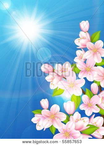Cherry Tree