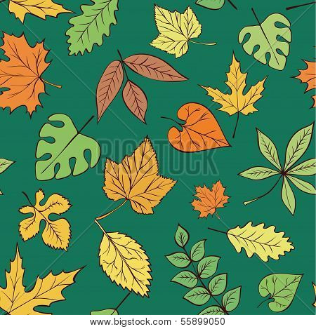 Seamless Pattern Leaves diferent shape.