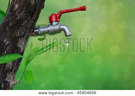 Tree is Life