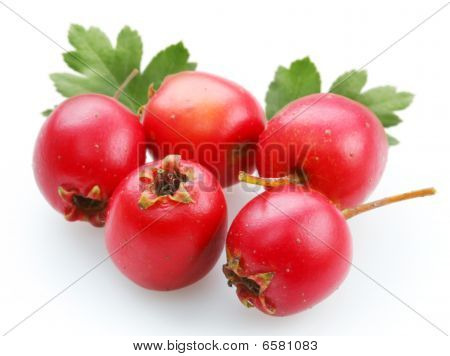 Whitethorn yaprakları ile