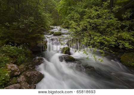 Schwarzbach River