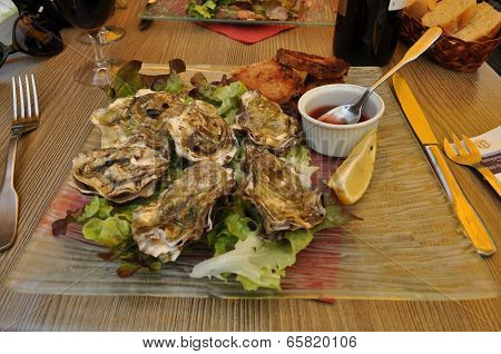 oysters