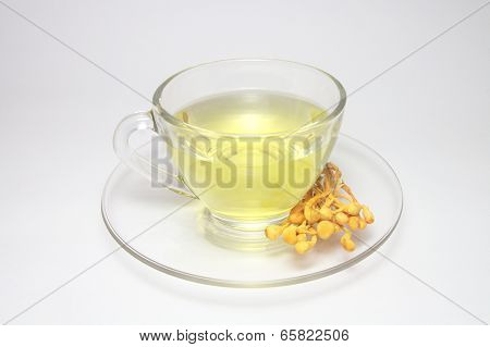 Herb capsule spilling out of a cup