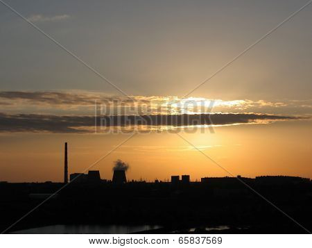 Black Contour Plant At Dawn/sunset