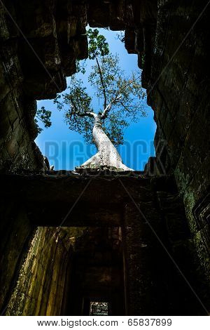 Preah Khan temple, Siem Reap, Cambodia