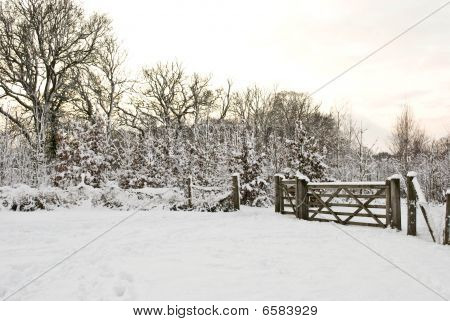 escena de invierno