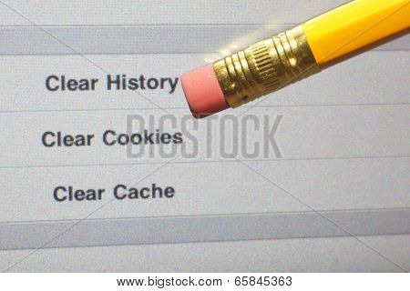 Clear Web History