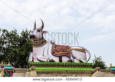 statue of sacred bull Nandi at the entrance of Hindu temple with Golden Apple or Bael tree inside it