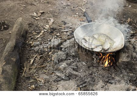 Fried Fish Cooking In Camp