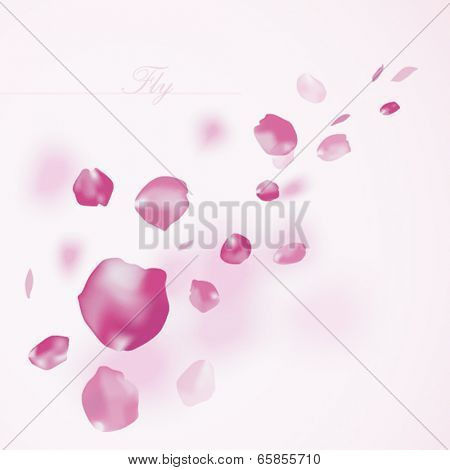 Background with flying petals