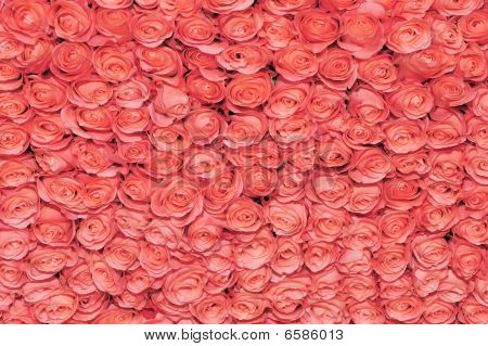 Pretty pembe yatak arka plan gül