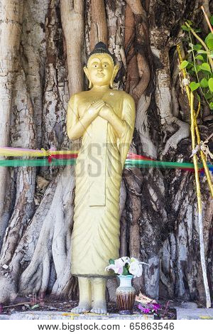 Standing Buddha Statue