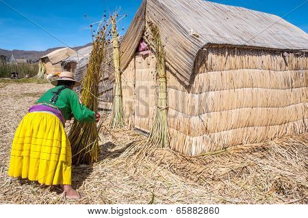 Floating Islands, Titicaca