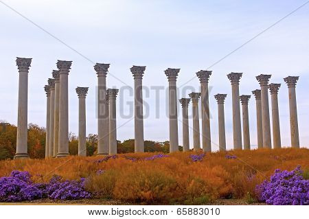 National Capitol Columns at sunset.