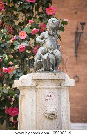 Drinking Fountain With A Figure Of A Boy On The Cochlea