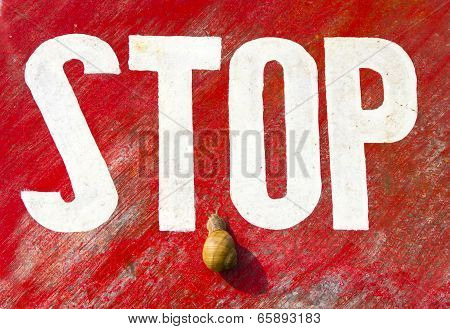 The Garden Snail And Stop Traffic Sign