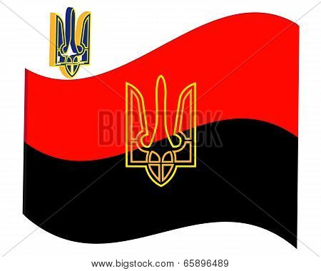 Revolutionary Flag