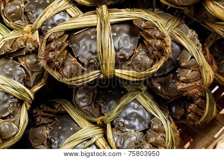 Chinese Lake crab