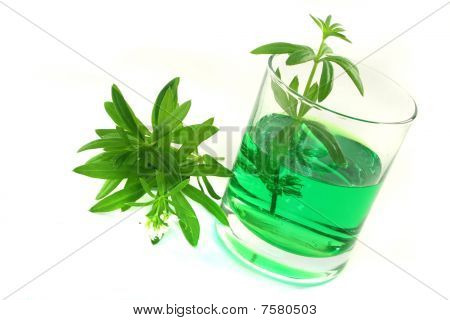 Woodruff sorbet
