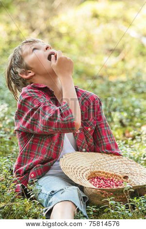 Teenage Boy Eating Red Wildberries In Forest