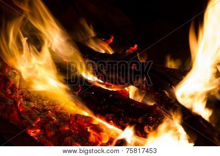 flame fire