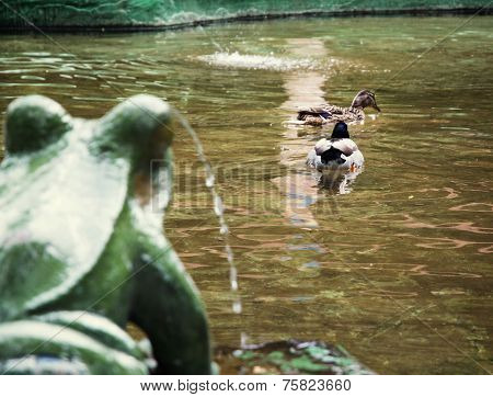 Frog Fountain And Two Mallard Ducks