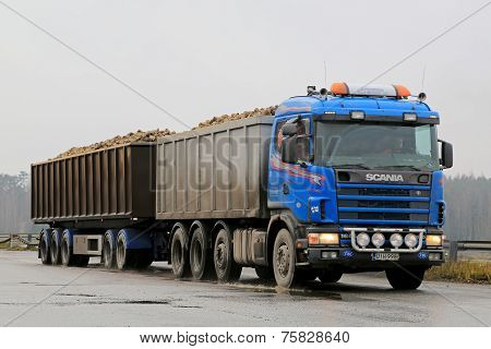 Blue Scania 164G Trailer Truck Hauls Sugar Beet