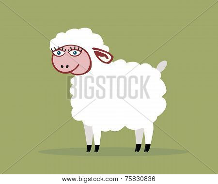 Sheep