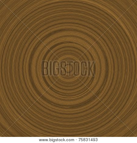 Growth Rings Illustration (dendrochronology)