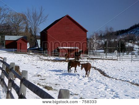 Winterbarnmass